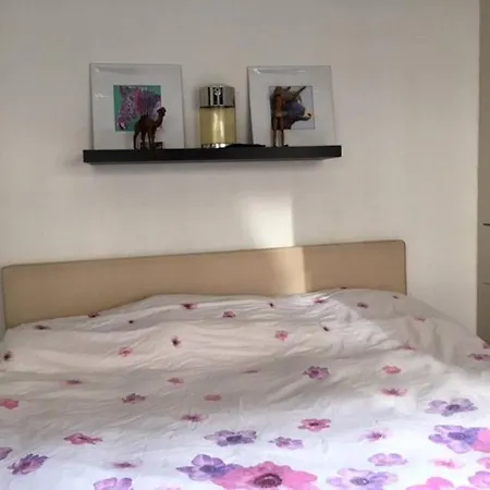 Centre, Ground Floor With Backyard! * Amsterdam