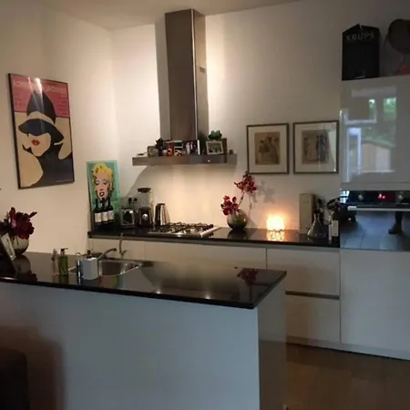 Centre, Ground Floor With Backyard! Tatil Evi Amsterdam